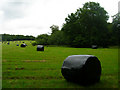 Wrapped Bales near Kingsdown Farm in TN19 7NE