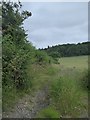 Footpath to Stantonbury Hill in BA2 9HD