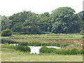 River Frome south of Wareham in BH20 6AB