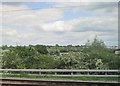 View from a Rugby-Crewe train - allotments through the blossom in CV11 6RU