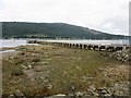 Ardnadam pier, Sandbank in PA23 8QH