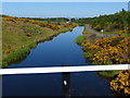 Union Canal viewed from Lime Road Bridge in FK1 4RQ