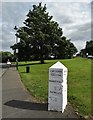 Milestone by Cawthorne village green in S75 4HB