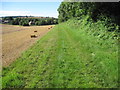 Footpath towards West Meon in GU32 1JD