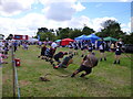 Tug of war - Heckington Show 2016 in Heckington
