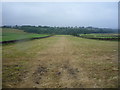 Field east of School Lane. Wadshelf in Brampton