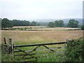 Fields near Springwell Farm in S18 7SJ