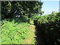 Footpath near Limekiln Cottages in BN5 9RS