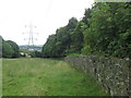 Footpath along the northeast edge of Beeley Wood in S6 1EZ