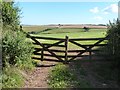 Classic Devon countryside beyond the gate in TQ6 0EF