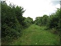 Disused railway line between Powerstock Common and Toller Porcorum in DT2 0DN