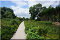 Towpath of the Stroudwater Canal in GL5 4TX