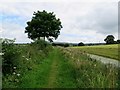 Towing path on the Lancaster Canal in LA5 9RR