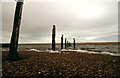 Old jetty, Langton Hive Point in DT3 4HZ