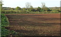 Field west of Long Ashton in BS41 9FE