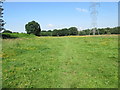 Path to Henfield Common in BN5 9RS