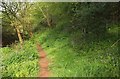 Path in the Land Yeo valley in BS41 9DA