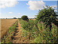 Footpath  from  Newport  to  River  Humber in HU15 2PP
