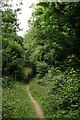 Footpath to Chapelhill Wood in KT23 4QD