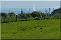 View towards the Grangemouth oil refinery in Hallglen