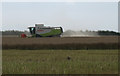 Combining oil seed rape near Bessingham in Aldborough & Thurgarton