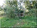 Stile at footpath junction in BN5 9RS