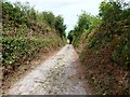 Woodhuish Lane leading down to Man Sands beach, near Brixham in TQ5 0HE