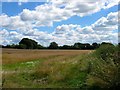 Warplegate Gate Field in RH13 8RA