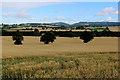Countryside looking Northwards from Sunley Farm in YO61 4PU