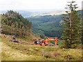 Forest Harvesting, Tan-y-bwlch in LL25 0YZ