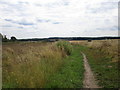 Bridleway to Gateford in Wallingwells