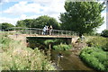 View of Charlie Moule's footbridge from Roding Valley Nature Reserve in IG10 3RH