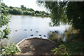 View of ducks on the boating lake in Roding Valley Nature Reserve in IG10 3DG
