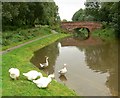 Aylestone Mill Bridge in LE2 8BS