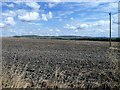 Harvested and ploughed in SN10 3JN