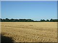 Stubble field off Nafferton Road, Wansford in YO25 8NU