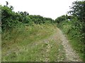 Footpath on North Hill near Bennett's Hill Farm in DT6 4NH