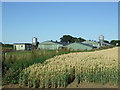 Poultry houses near Skerne Leys in YO25 6SQ