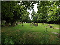 St.Mary's Rickinghall Superior Churchyard in IP22 1EZ