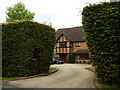Oxshott - Tall Hedges on Birds Hill Drive in KT22 0UT