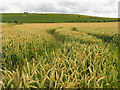 Farmland near Pewsey Hill in SN9 5JE
