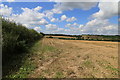Across the field at Hardwick Park in Ault Hucknall