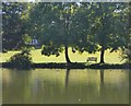 A riverside scene at Goring in RG8 9LA