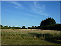 Field near Oak Farm, Chittering in CB25 9PW