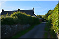 Mid Devon : Country Lane in EX17 1DH