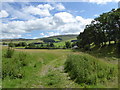 John Buchan Way near Easterknowe, Stobo in Tweeddale