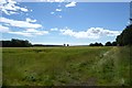 Farmland beside Juncaster Plantation in NE66 3SZ