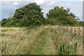 Footpath to Moggerhanger in Moggerhanger
