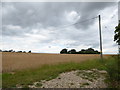 Farmland opposite St Peter, Mundham in NR15 1DN