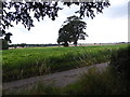 Farmland opposite St George, Rollesby in NR29 5HW